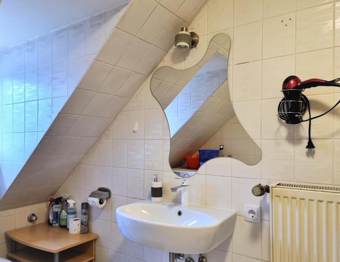 Apartment Bayreuth, Grosse Ferienwohnung Im Haus Mit Kunst, 3 Schlafzimmer, Kueche, Parkplatz Dış mekan fotoğraf