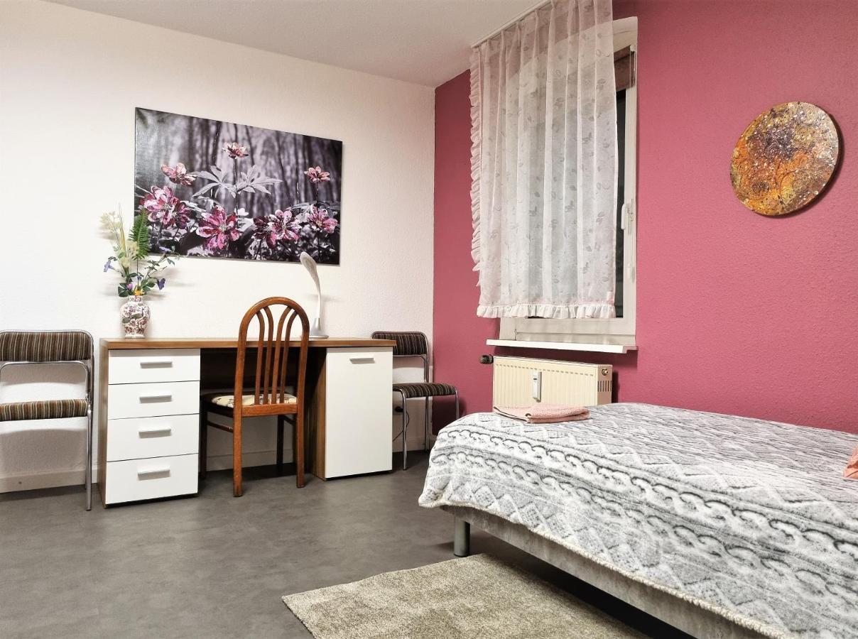 Apartment Bayreuth, Grosse Ferienwohnung Im Haus Mit Kunst, 3 Schlafzimmer, Kueche, Parkplatz Dış mekan fotoğraf